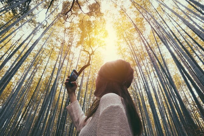 Kyoto Highlights: With Nijo Castle Ticket & Bamboo Forest - Navigating With Ease From the Meeting Point