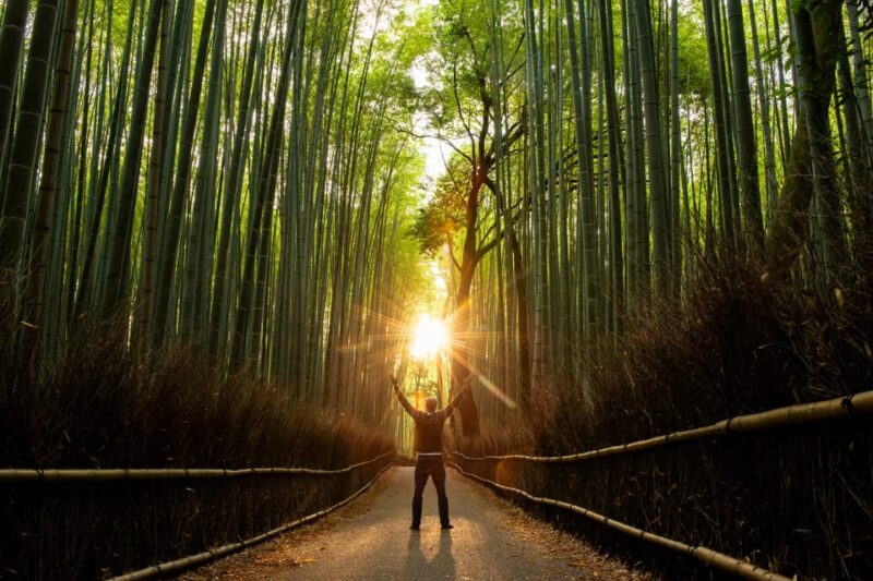 Kyoto Highlights: With Nijo Castle Ticket & Bamboo Forest - Discovering Nijo Castles Secrets