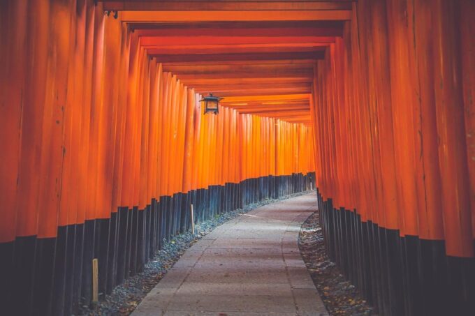 Kyoto Highlights: With Nijo Castle Ticket & Bamboo Forest - Guide and Inclusions