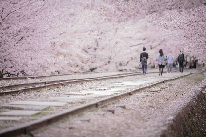 Kyoto Hihashiyama E-Bike Tour *Private, Pick up From/To Hotel - Booking Information