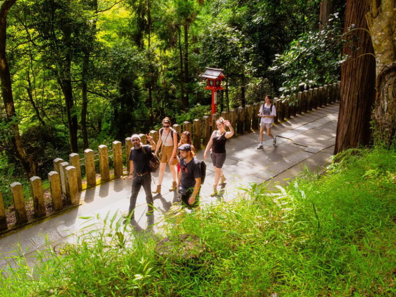 Kyoto: Hike and Hot Springs in Kurama - Hiking Through the Ancient Kurama Forest