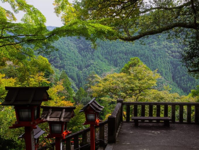 Kyoto: Hike and Hot Springs in Kurama - Insights Shared by the Knowledgeable Local Guide