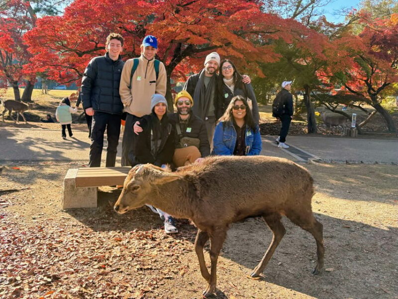Kyoto: Historical Nara & Kyoto Bus Tour - Itinerary Highlights