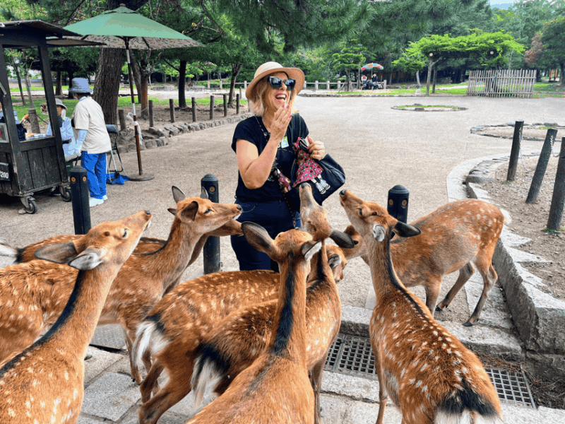 Kyoto: Historical Nara & Kyoto Bus Tour - Tour Features