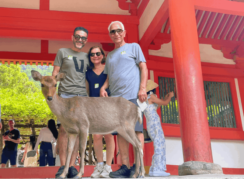 Kyoto: Historical Nara & Kyoto Bus Tour - Cultural Experiences