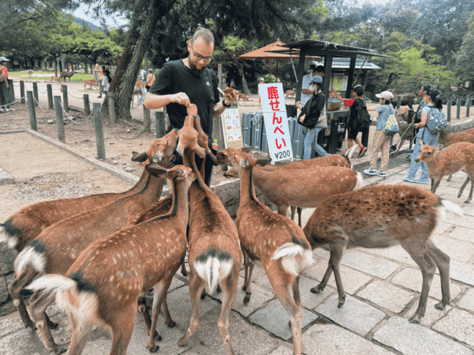 Kyoto: Historical Nara & Kyoto Bus Tour - Discovering Nara Park