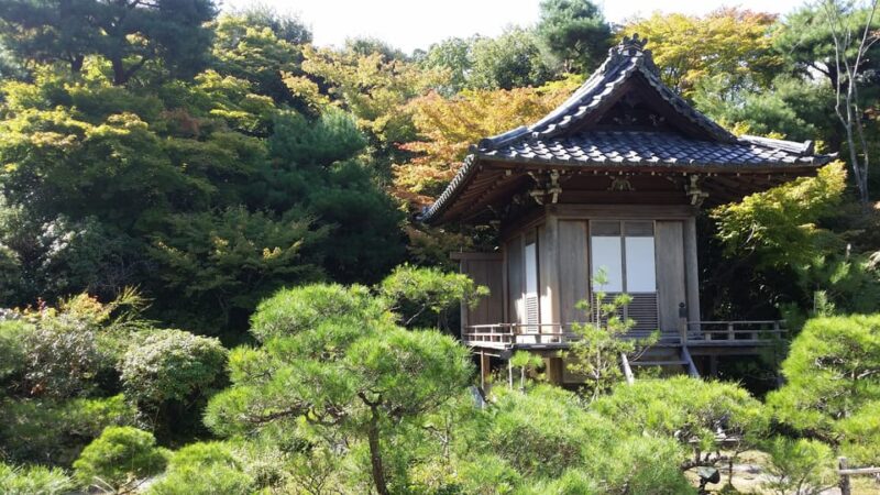 Kyoto: Immersive Arashiyama & Fushimi Inari by Private Car - Key Points