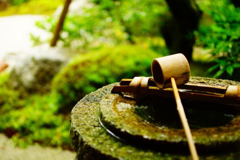 Kyoto: Immersive Arashiyama & Fushimi Inari by Private Car - Taking in the Arashiyama Bamboo Forest