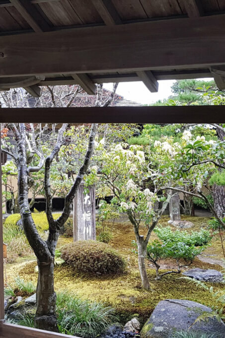 Kyoto: Immersive Arashiyama & Fushimi Inari by Private Car - Experiencing the Vibrant Gion District