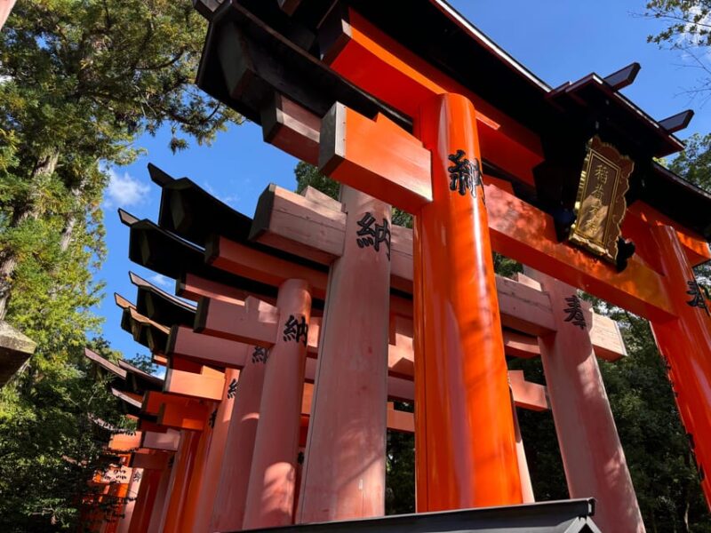Kyoto: Inari Shrine Hiking Tour With Local Guide - Experience Highlights