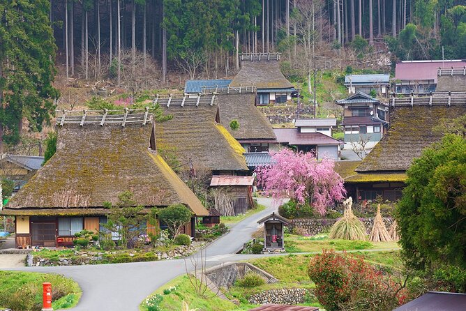 Kyoto Ine Bay, Amanohashidate and Miyama Village Tour From Osaka - Additional Information