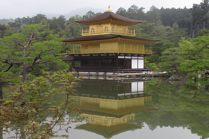 Kyoto ITALIAN GUIDE Golden Pagoda Bamboo Forest Dry Garden - Inclusions