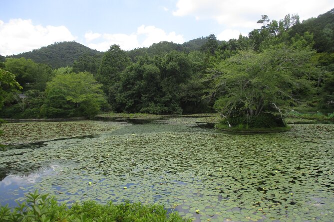 Kyoto ITALIAN GUIDE Golden Pagoda Bamboo Forest Dry Garden - Taking in the Bamboo Forest