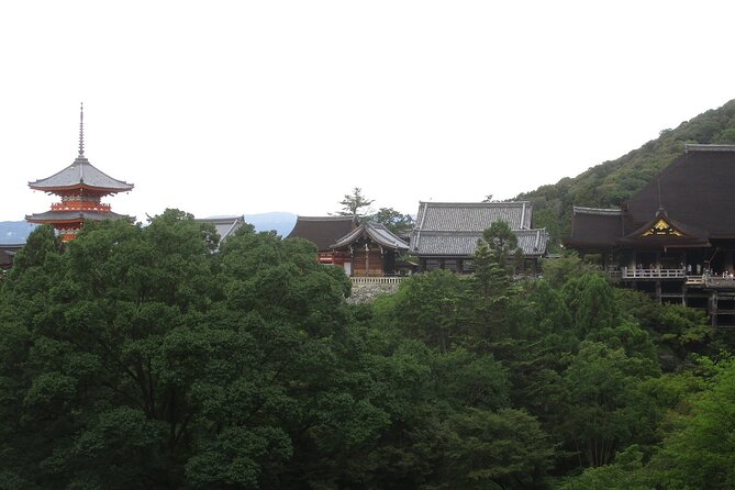 Kyoto ITALIAN GUIDE, Kiyomizu Temple Gion Pagoda Maiko Geisha - Booking Information