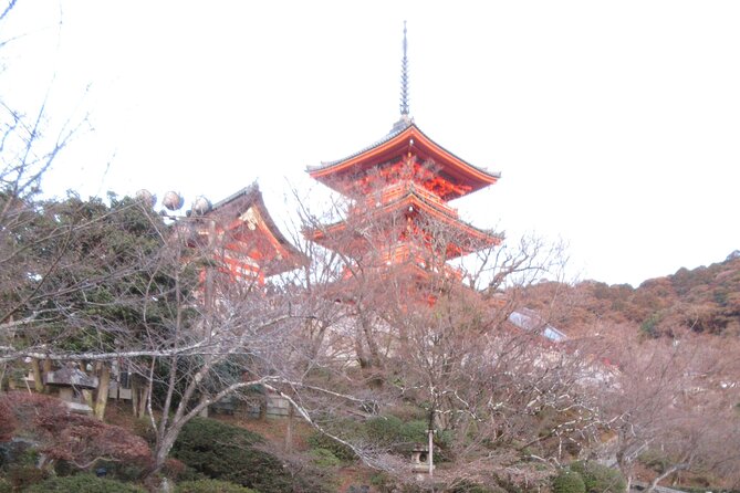 Kyoto ITALIAN GUIDE, Kiyomizu Temple Gion Pagoda Maiko Geisha - Discovering the Gion District