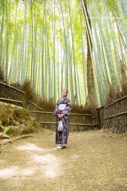 Kyoto, Japan: Photography in Kyoto - Inclusions and Logistics