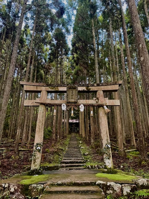 Kyoto (Keihoku): Japanese Scenic Countryside Bike Tour - Navigating the Bus and Taxi Options