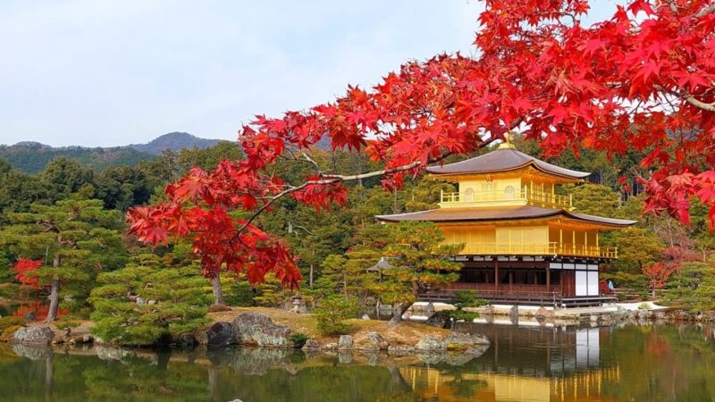 Kyoto: Kinkaku-ji Autumn Leaves Guided Tour 90 Minutes - Inclusions