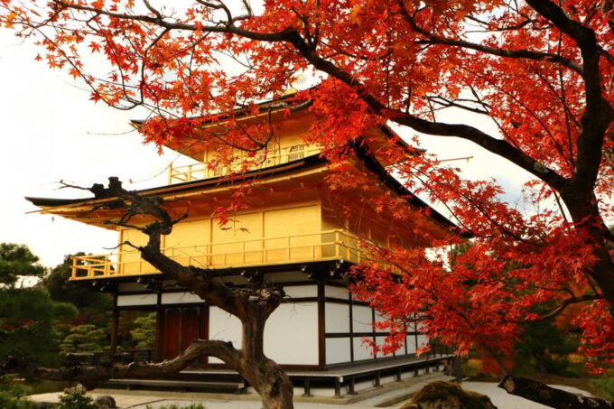 Kyoto: Kinkaku-ji Autumn Leaves Guided Tour 90 Minutes - Frequently Asked Questions