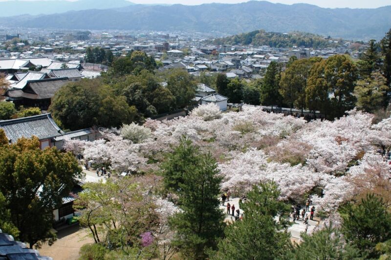 Kyoto: Kinkakuji and Ninnaji Temple With Monk Insights - Taking in Ninnajis Imperial Grandeur