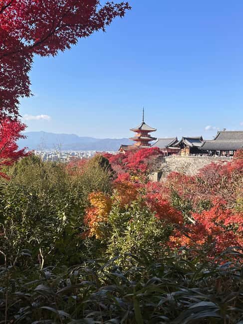 Kyoto: Kiyomizudera, Sanjusangendo, Kodaiji, and Gion. - Key Points