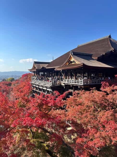 Kyoto: Kiyomizudera, Sanjusangendo, Kodaiji, and Gion. - An In-Depth Look at the Tour Experience
