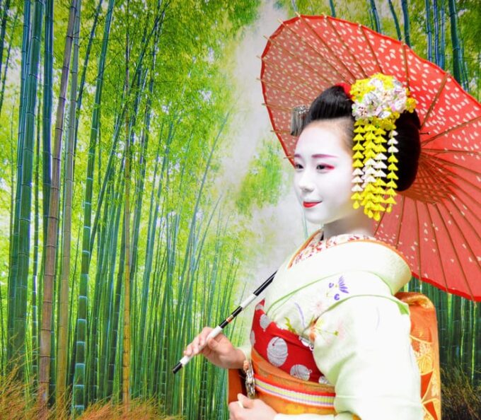 Kyoto: Meet-&-Greet, Maiko Show & Experience For All - Accessibility and Public Transportation