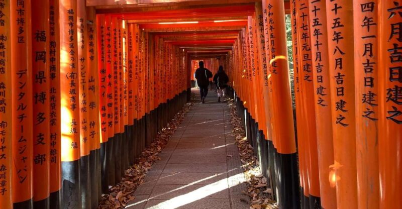 Kyoto: Must-See Spots to Visit, Kyoto One Day Private Tour - Itinerary Options