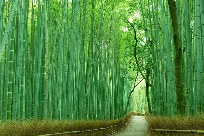 Kyoto Must-Visit Highlights: Private Car Tour - Uncovering the Secrets of the Fushimi Inari-taisha Shrine