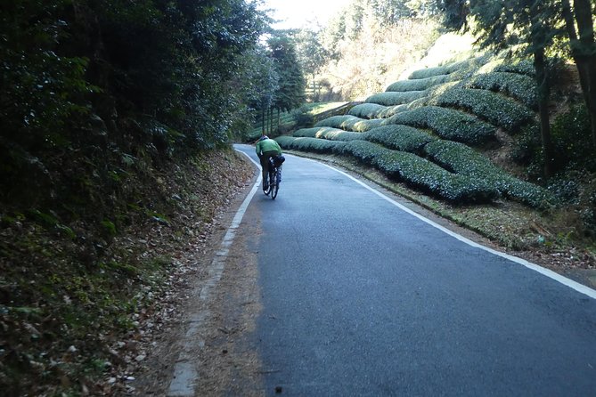 Kyoto, Nara 2 Days Bike Tour With Overnight Self Guided - Overnight Accommodations and Meals