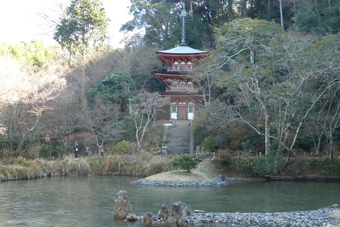 Kyoto, Nara 2 Days Bike Tour With Overnight Self Guided - Meeting Point and Directions