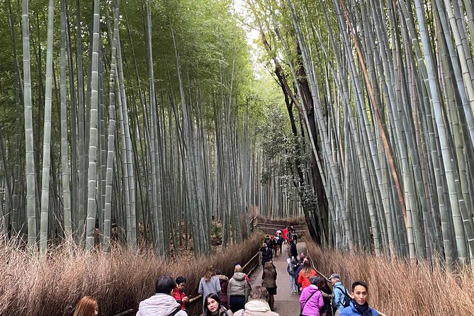KYOTO-NARA Custom Tour With Private Car and Driver (Max 13 Pax) - Customer Reviews and Ratings