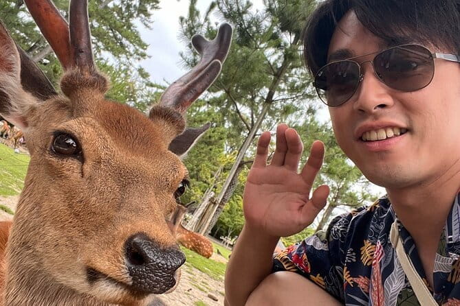 Kyoto & Nara Day Tour: Golden Pavilion, Fushimi Inari & Deer Park - Traveler Experiences and Feedback
