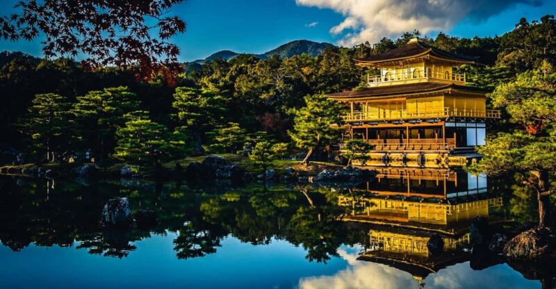 Kyoto: Nara or Osaka Private Customized English Guided Trip - Nara Itinerary Highlights
