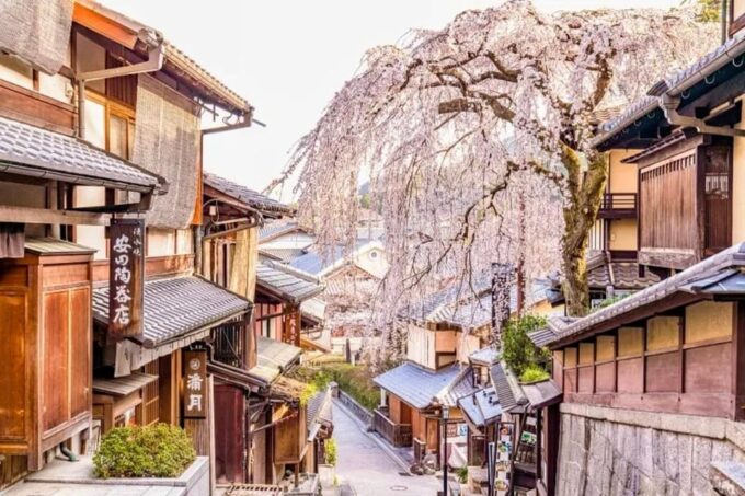 Kyoto: Nara or Osaka Private Customized English Guided Trip - Inclusions and Exclusions