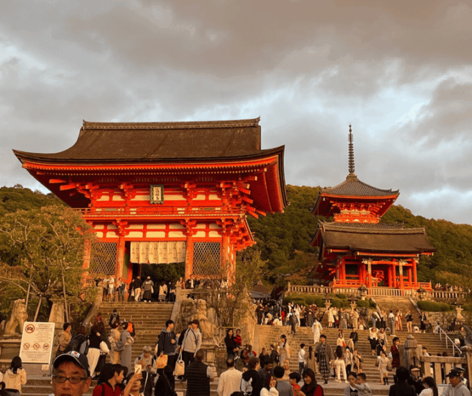 Kyoto & Nara Private Customized, Guided Tour - Guided Insights and Knowledge