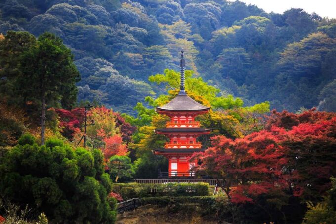 Kyoto & Nara Private Customized, Guided Tour - Customer Feedback
