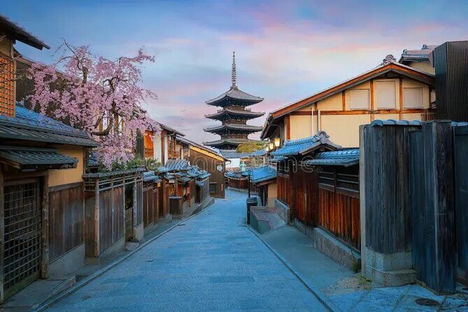 Kyoto & Nara: Private Day Tour by luxury Vehicle & English Guide - Authentic Experiences and Honest Insights