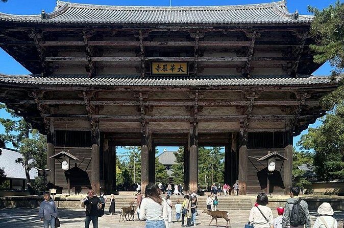 Kyoto & Nara: Private Day Tour by luxury Vehicle & English Guide - Who Will Love This Tour?