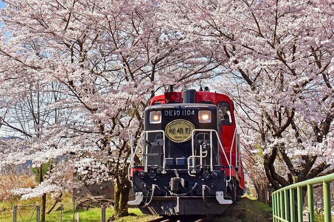 Kyoto & Nara & Uji: Full Day Sightseeing Tour From Osaka or Kyoto - Booking Information