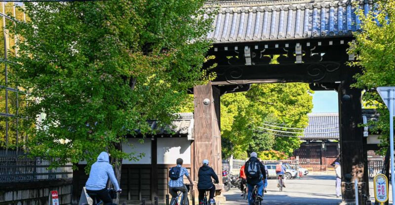 Kyoto: North Kyoto Guided Cycling Tour With Lunch - Key Points