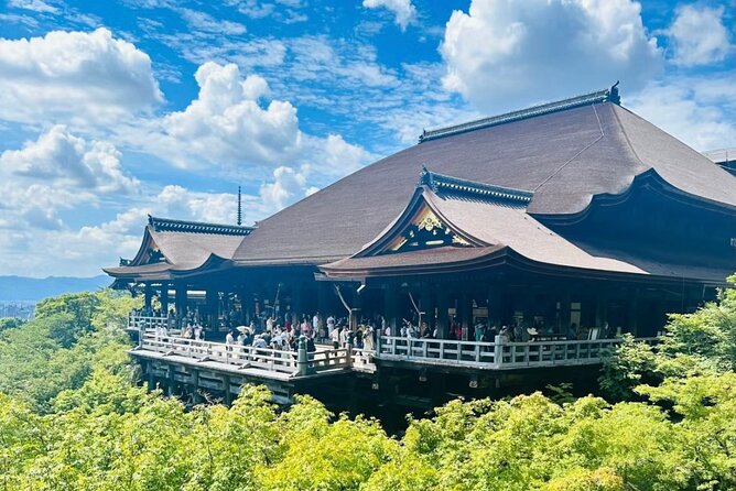 Kyoto: One Day Private Car Tour - Accessibility and Participation