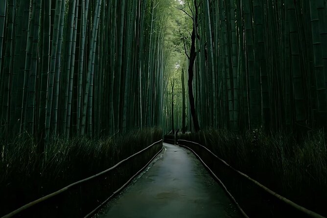 Kyoto: One Day Private Car Tour - An Unforgettable Day in Kyoto