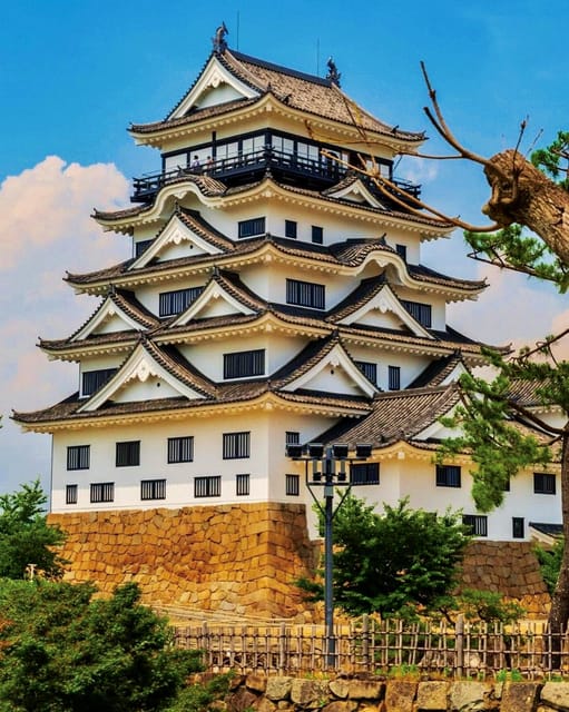 Kyoto Osaka Day Trip With English Speaking Person and Nara - Itinerary Highlights