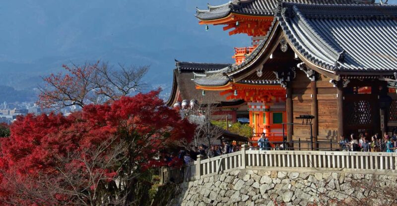 Kyoto Osaka Day Trip With English Speaking Person and Nara - Tour Features and Recommendations