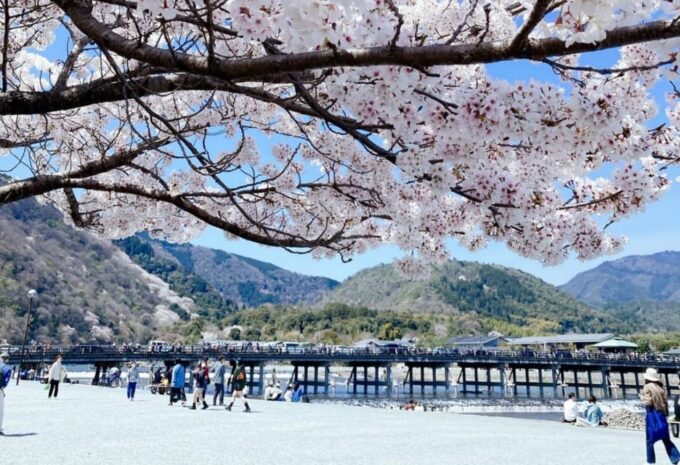 Kyoto/Osaka: Fushimi Inari, Arashiyama and Nara Bus Tour - Tour Pricing and Reservation