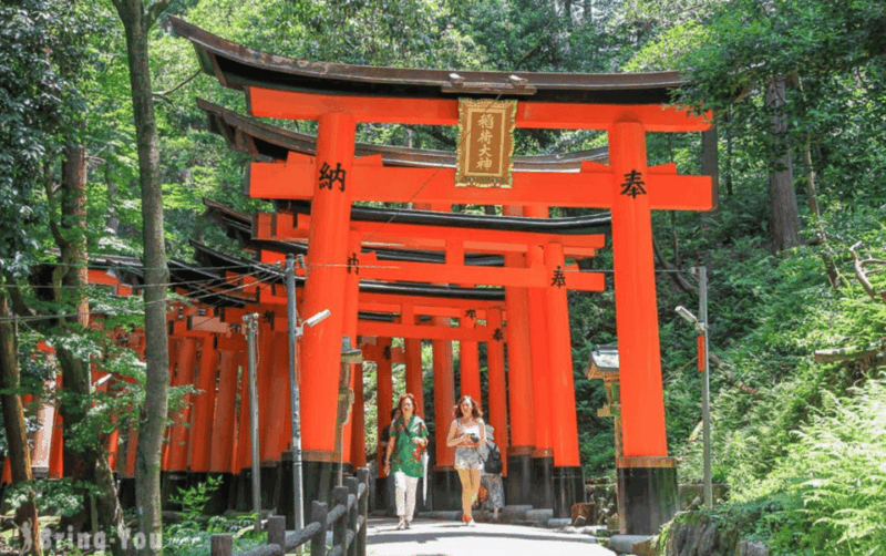 Kyoto/Osaka: Kyoto and Nara Customizable Guided Day Trip - Itinerary Highlights