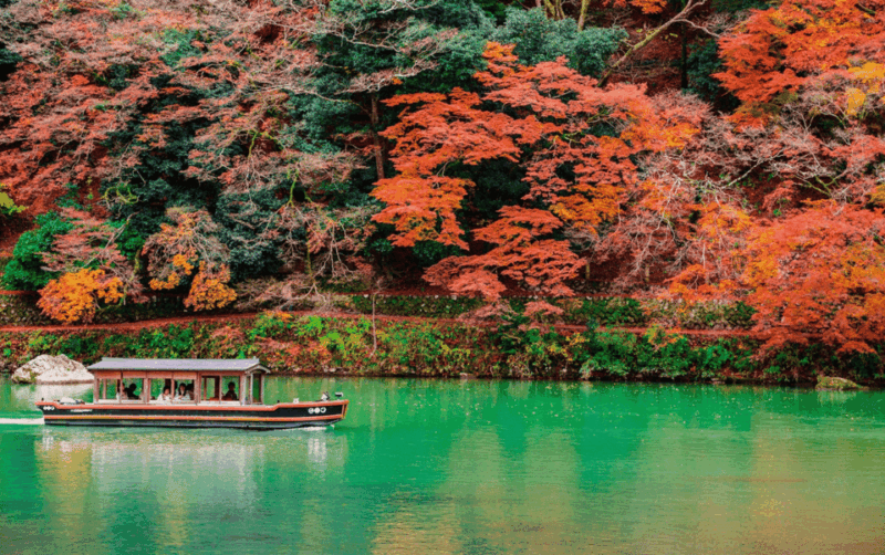 Kyoto/Osaka: Kyoto and Nara Customizable Guided Day Trip - Travel Experience