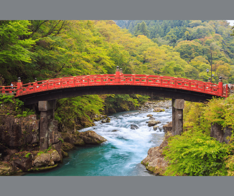 Kyoto/Osaka: Kyoto and Nara Customizable Guided Day Trip - Customization Options