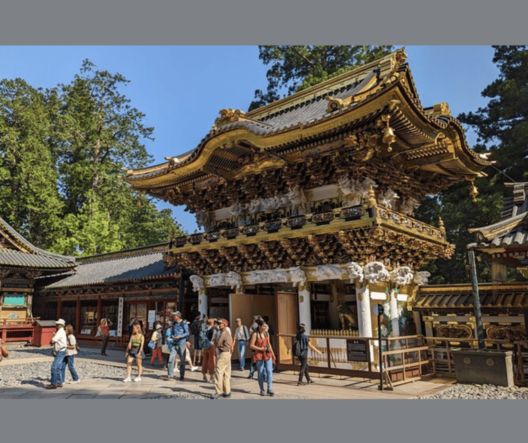 Kyoto/Osaka: Kyoto and Nara Customizable Guided Day Trip - Customer Feedback